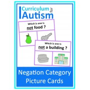 Negation Categories Large Print Clip Cards